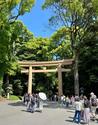 明治神宮(東京都)