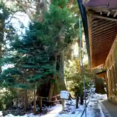 砥鹿神社（奥宮）の建物その他