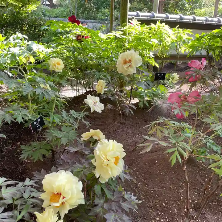 上野東照宮(東京都)