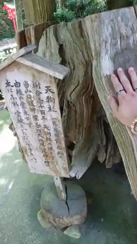 目の霊山　油山寺の歴史