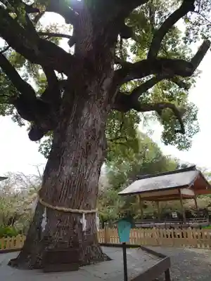 平野神社の山門・神門