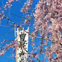 豊景神社の自然