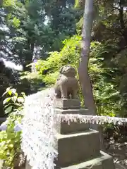 御田八幡神社の狛犬