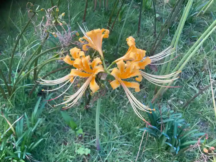 横浜 西方寺(神奈川県)