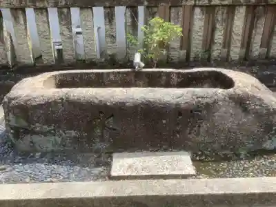 熊野社(新生)の手水舎