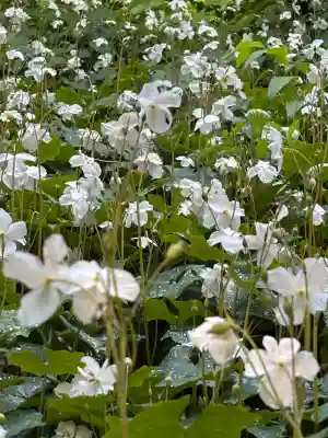 日光大室高龗神社(栃木県)