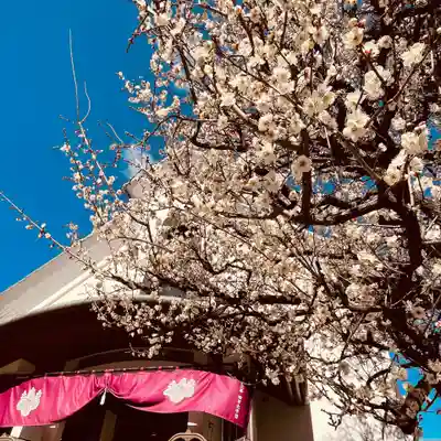 光源寺(東京都)
