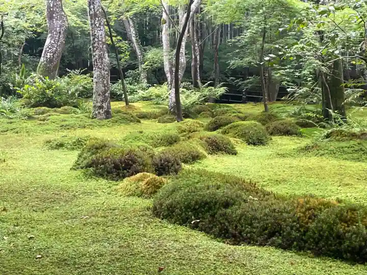 祇王寺(京都府)