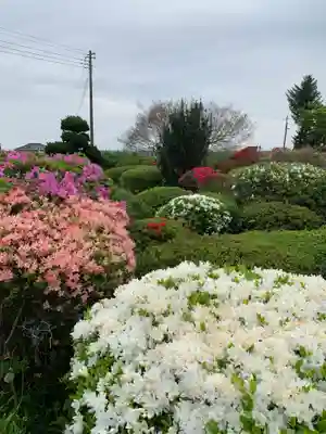 永徳寺(群馬県)