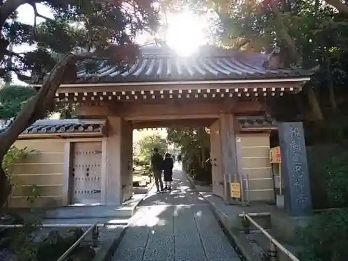 報国寺の山門