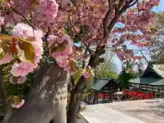 住吉神社(北海道)