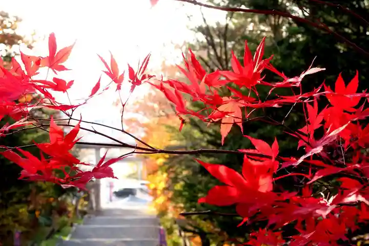 上川神社の自然