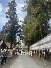 甲斐國一宮 浅間神社(山梨県)