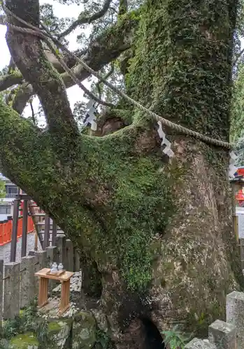 熊野那智大社(和歌山県)