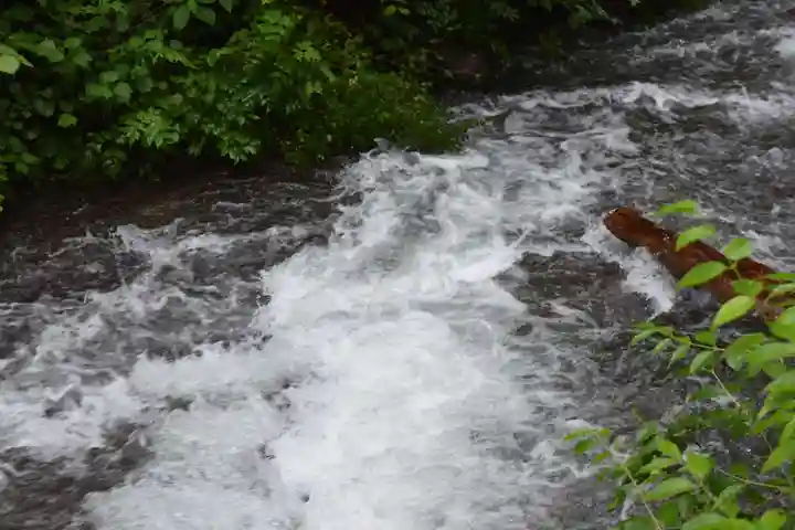 榛名神社の自然