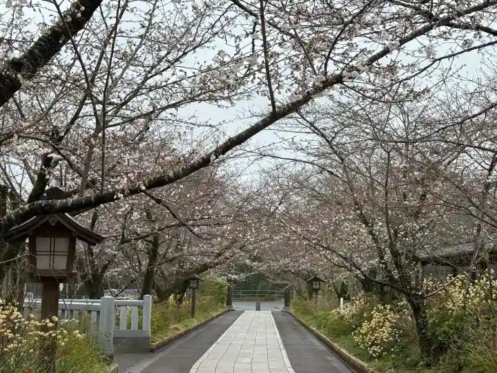 高麗神社(埼玉県)