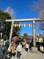 浅草神社の初詣