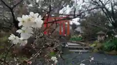 平野神社の自然