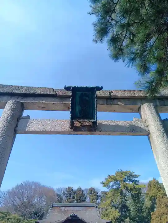 長浜八幡宮(滋賀県)