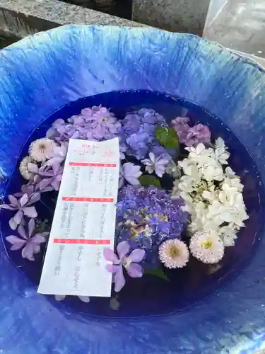 川越八幡宮(埼玉県)