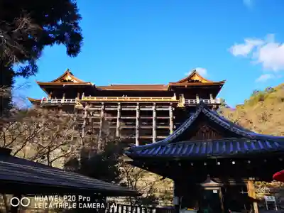 清水寺の本殿・本堂
