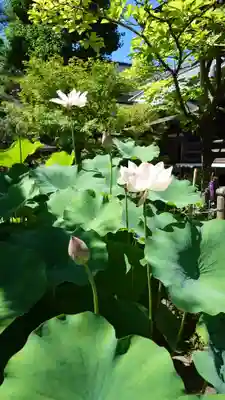 善光寺(長野県)