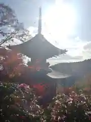 勝尾寺の建物その他