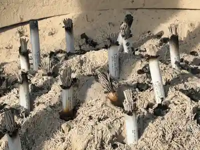 成田山深川不動堂（新勝寺東京別院）の{uncategorized: "未分類", other: "その他", undefined: "問題あり", building: "その他建物", grave: "お墓", sacred_gate: "鳥居", guardian: "狛犬", statue: "像", buddha: "仏像", history: "歴史", nature: "自然", garden: "庭園", animal: "動物", pagoda: "塔", temizu: "手水舎", mountain_gate: "山門・神門", sanctuary: "本殿・本堂", subordinate: "末社・摂社", art: "芸術", scenery: "景色", jizo: "地蔵", ema: "絵馬", goshuin: "御朱印", omikuji: "おみくじ", items: "授与品その他", amulet: "お守り", goshuincho: "御朱印帳", eats: "食事", festival: "お祭り", votive_dance: "神楽", shichigosan: "七五三参", wedding: "結婚式", experience: "体験その他", initially: "初詣", around: "周辺", anti_infection: "感染症対策"}