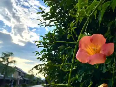 白鳥神社(長野県)