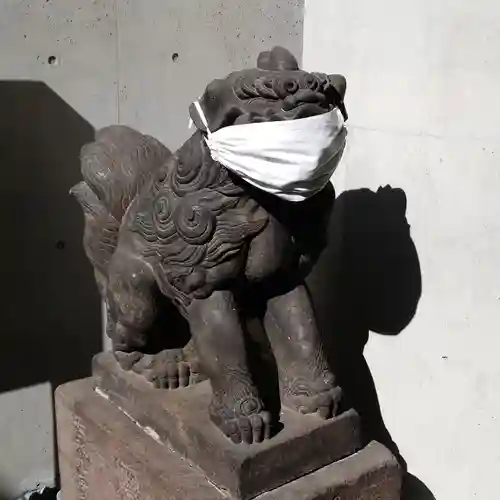 築土神社の狛犬