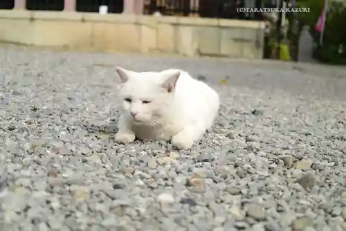 今戸神社(東京都)