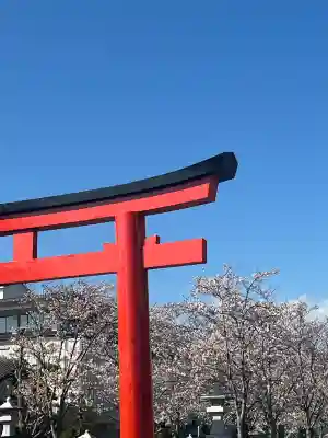 鶴岡八幡宮の{uncategorized: "未分類", other: "その他", undefined: "問題あり", building: "その他建物", grave: "お墓", sacred_gate: "鳥居", guardian: "狛犬", statue: "像", buddha: "仏像", history: "歴史", nature: "自然", garden: "庭園", animal: "動物", pagoda: "塔", temizu: "手水舎", mountain_gate: "山門・神門", sanctuary: "本殿・本堂", subordinate: "末社・摂社", art: "芸術", scenery: "景色", jizo: "地蔵", ema: "絵馬", goshuin: "御朱印", omikuji: "おみくじ", items: "授与品その他", amulet: "お守り", goshuincho: "御朱印帳", eats: "食事", festival: "お祭り", votive_dance: "神楽", shichigosan: "七五三参", wedding: "結婚式", experience: "体験その他", initially: "初詣", around: "周辺", anti_infection: "感染症対策"}