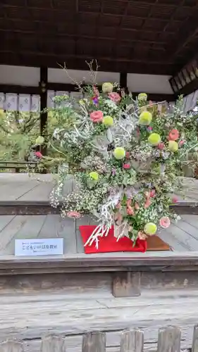 御霊神社（上御霊神社）(京都府)