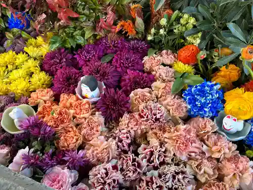 於菊稲荷神社の手水