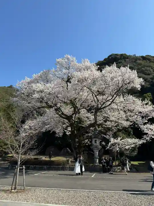 岐阜護國神社の{uncategorized: "未分類", other: "その他", undefined: "問題あり", building: "その他建物", grave: "お墓", sacred_gate: "鳥居", guardian: "狛犬", statue: "像", buddha: "仏像", history: "歴史", nature: "自然", garden: "庭園", animal: "動物", pagoda: "塔", temizu: "手水舎", mountain_gate: "山門・神門", sanctuary: "本殿・本堂", subordinate: "末社・摂社", art: "芸術", scenery: "景色", jizo: "地蔵", ema: "絵馬", goshuin: "御朱印", omikuji: "おみくじ", items: "授与品その他", amulet: "お守り", goshuincho: "御朱印帳", eats: "食事", festival: "お祭り", votive_dance: "神楽", shichigosan: "七五三参", wedding: "結婚式", experience: "体験その他", initially: "初詣", around: "周辺", anti_infection: "感染症対策"}