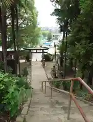 西八朔杉山神社(神奈川県)