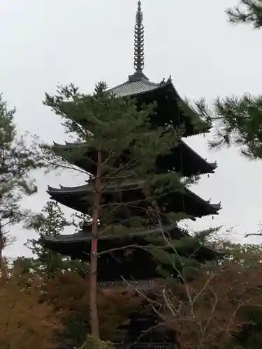 仁和寺の塔