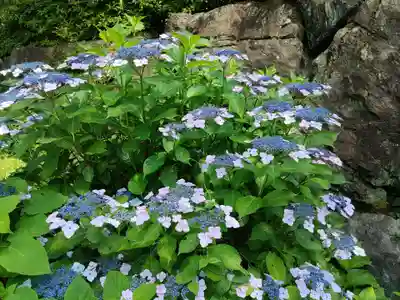 弓削寺(岐阜県)
