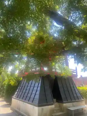 大蔵院(群馬県)