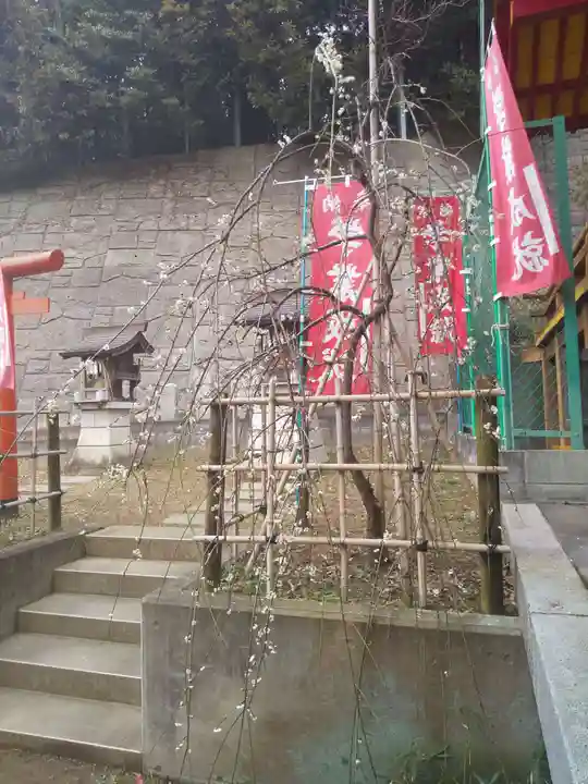 若宮八幡宮の自然