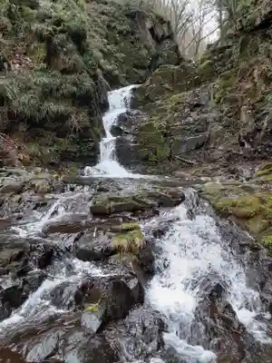 九頭龍神社(東京都)