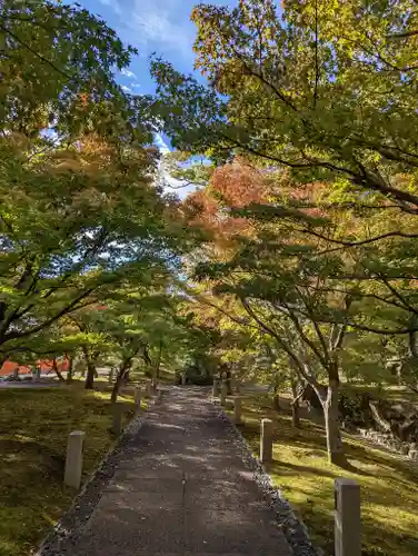  智積院の建物その他