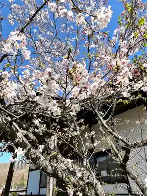 長光寺(長野県)