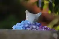 開成山大神宮の手水舎