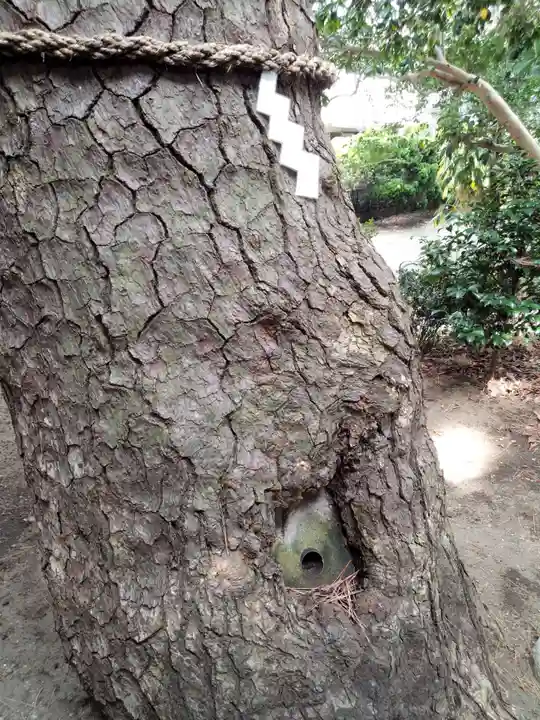 第六天神社の自然