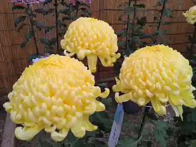 普光寺(新潟県)