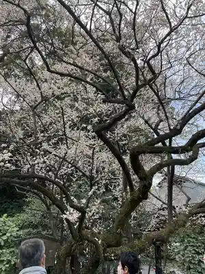 熱田神宮(愛知県)