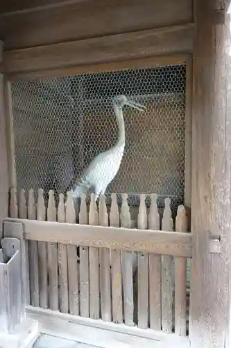 白鳥神社(香川県)