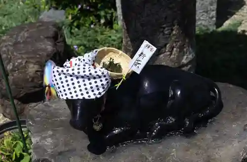 大松禅寺(京都府)