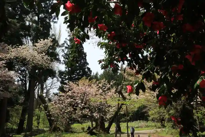 磐椅神社の自然